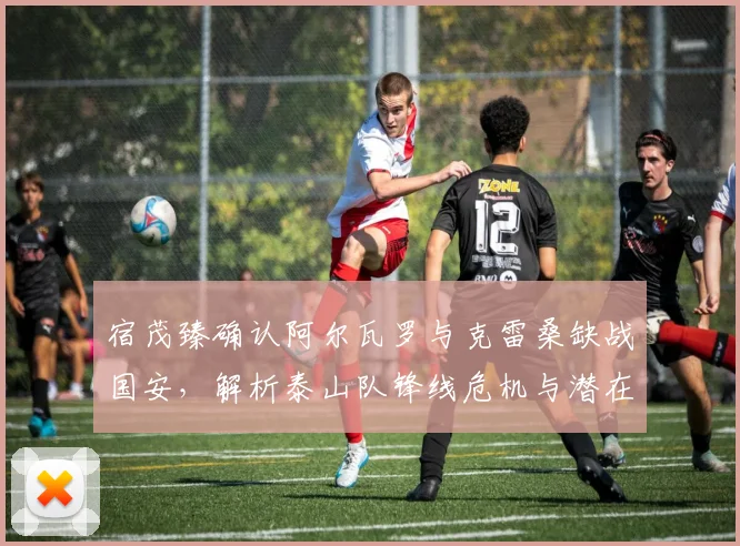 宿茂臻确认阿尔瓦罗与克雷桑缺战国安，解析泰山队锋线危机与潜在替代者方案（2024赛季前瞻）